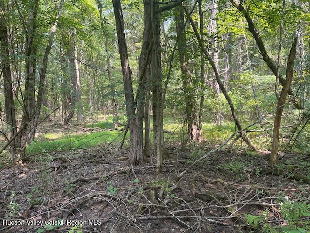 Photo of Listing #20253732