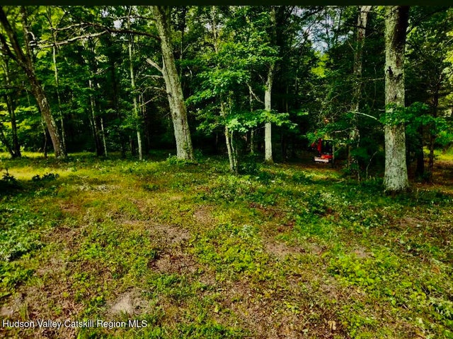 Photo of Listing #20253889