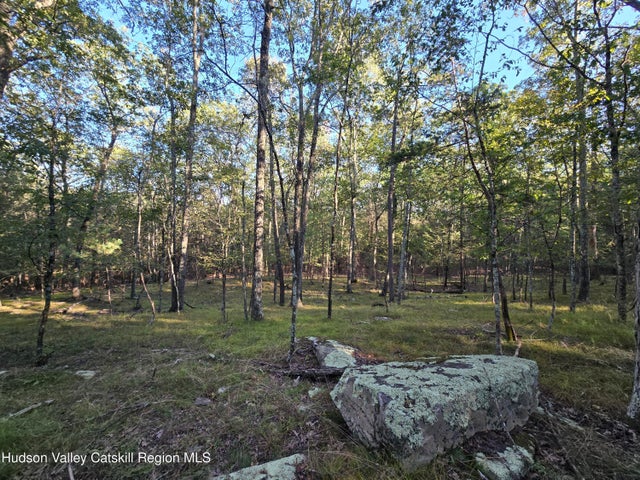 Photo of Listing #20253935