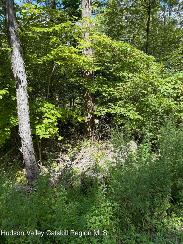 Photo of Listing #20254146