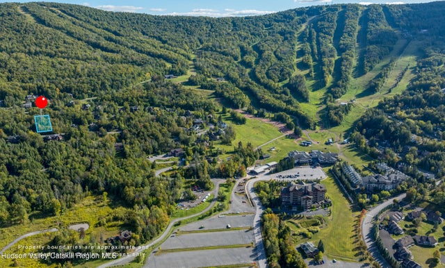 Photo of Listing #20254325