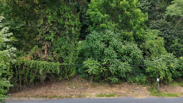 Photo of Listing #20254192