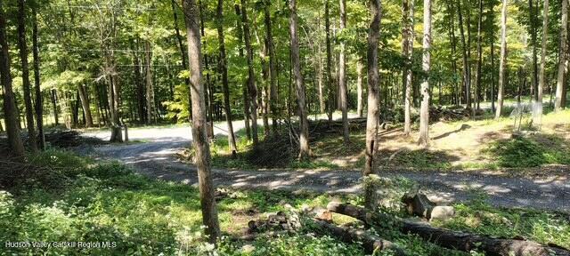 Photo of Listing #20254101