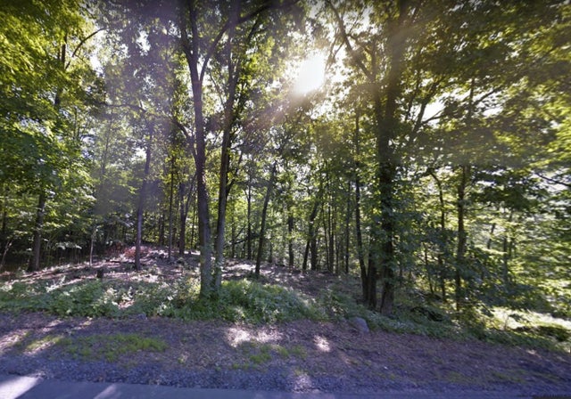 Photo of Listing #20255304