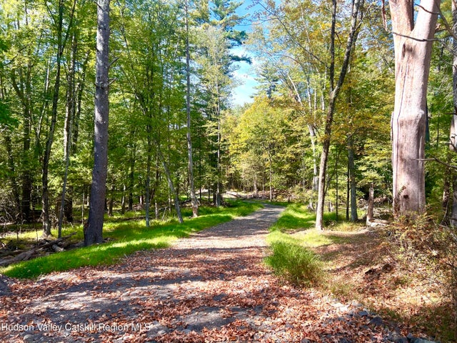 Photo of Listing #20254603