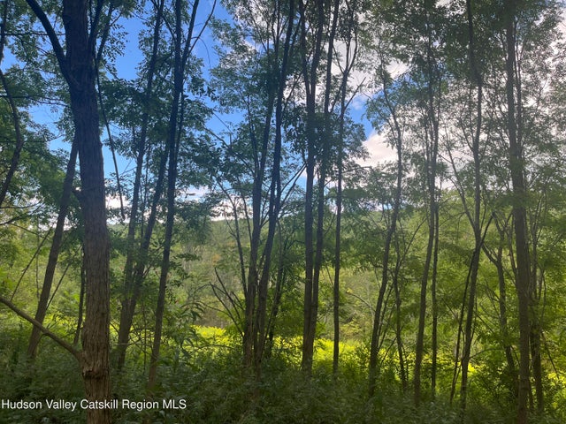 Photo of Listing #20255037