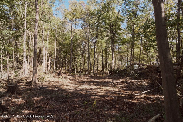 Photo of Listing #20255032