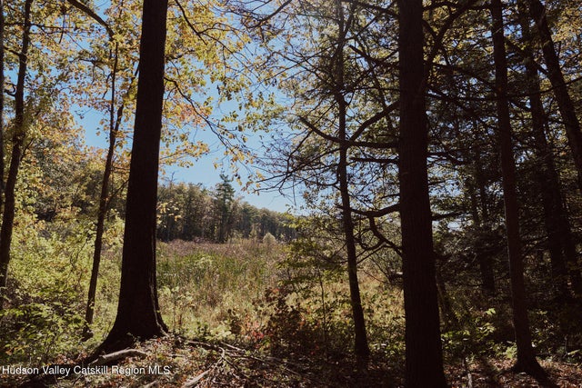 Photo of Listing #20255033