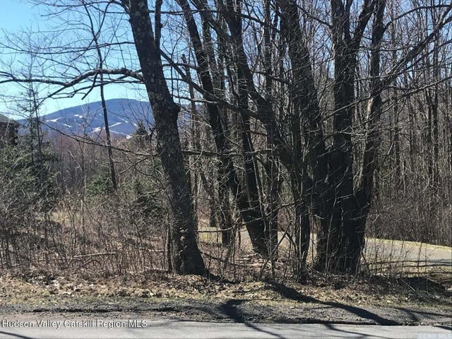 Photo of Listing #20255305