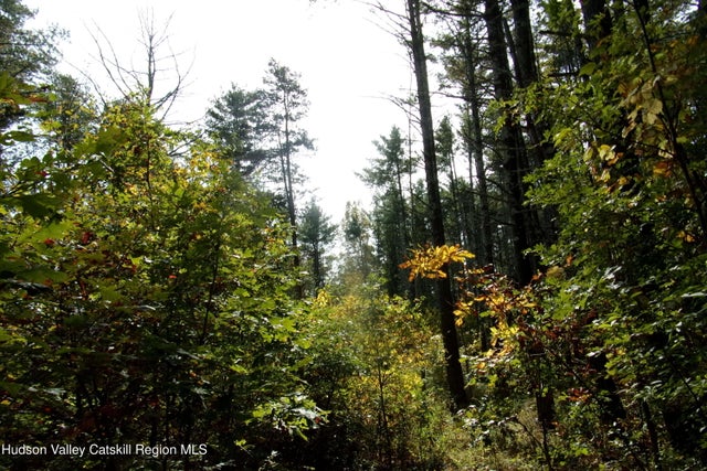 Photo of Listing #20255536