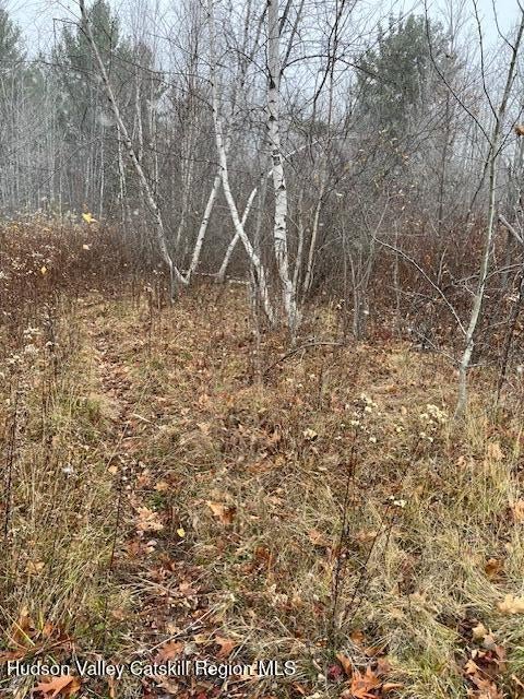 Photo of Listing #20255696