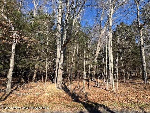 Photo of Listing #20255844