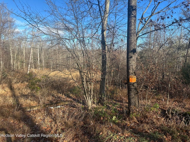 Photo of Listing #20255841