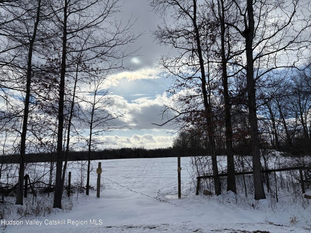 Photo of Listing #20260002