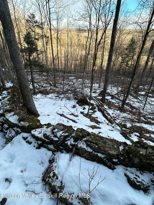 Photo of Listing #20260228