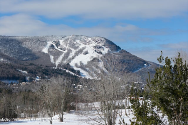 Photo of Listing #20260471