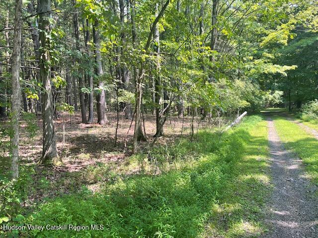 Photo of Listing #20260796