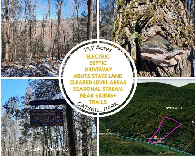 Photo of Listing #20261223