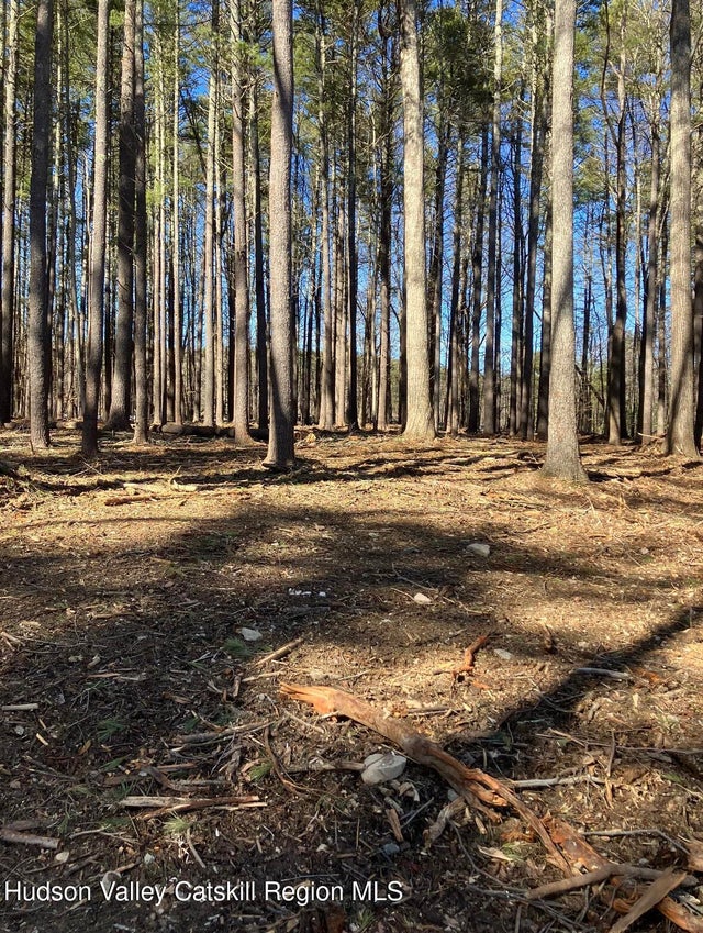 Photo of Listing #20261000