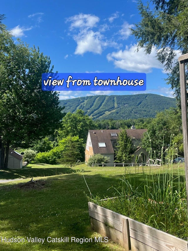 Photo of Listing #20253413