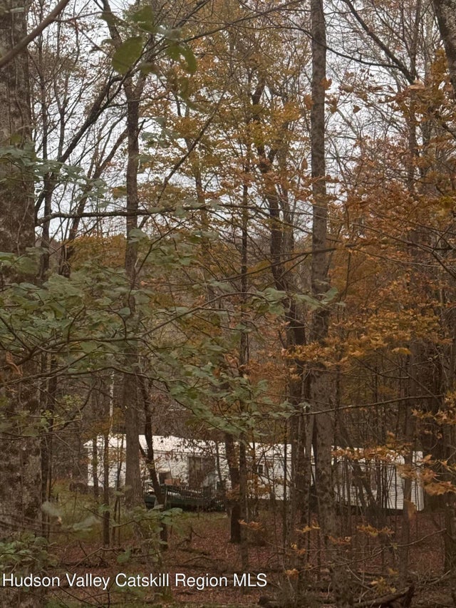 Photo of Listing #20255068