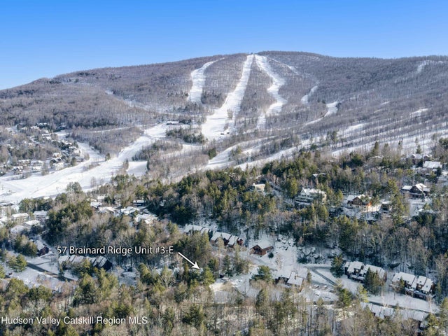 Photo of Listing #20254919