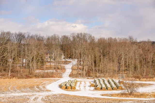 Photo of Listing #20255688