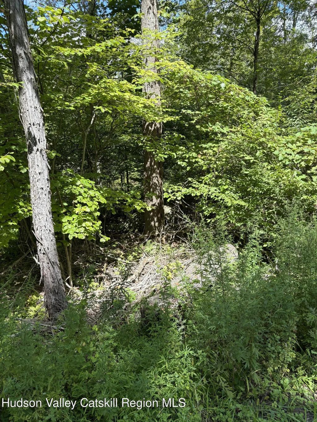 Tbd Oak Ridge Road, Ellenville