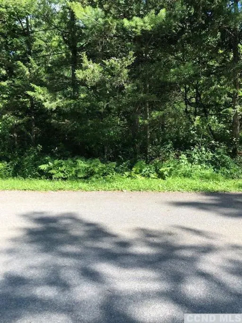 31 Rip Van Winkle Drive, Athens