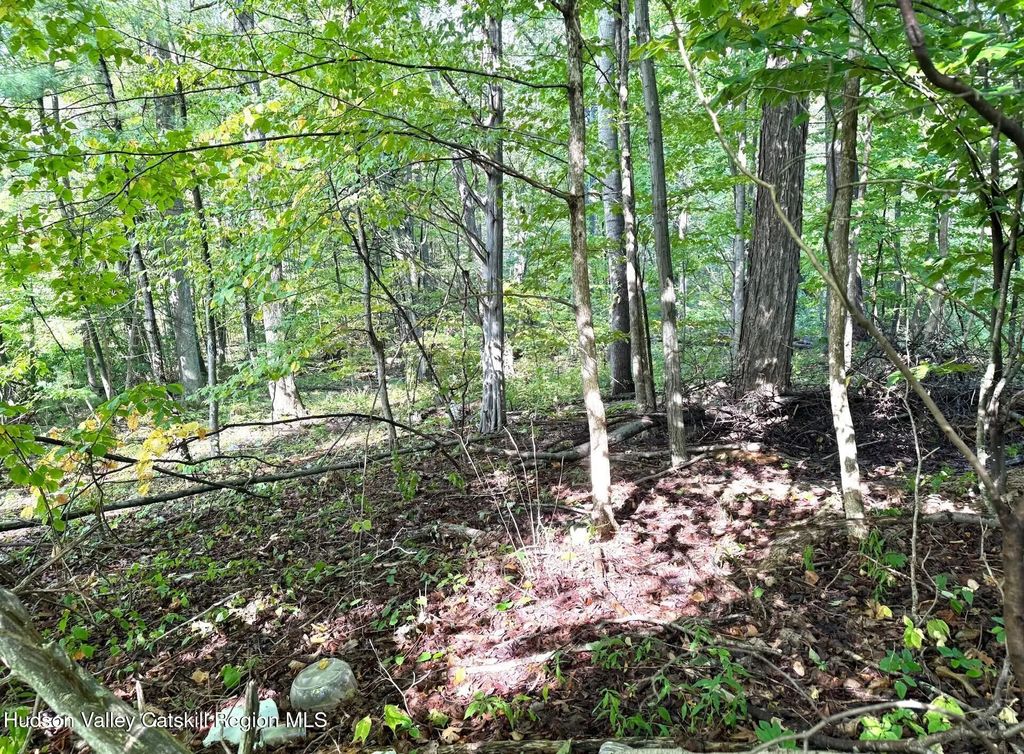 Deerfield Road, Boiceville
