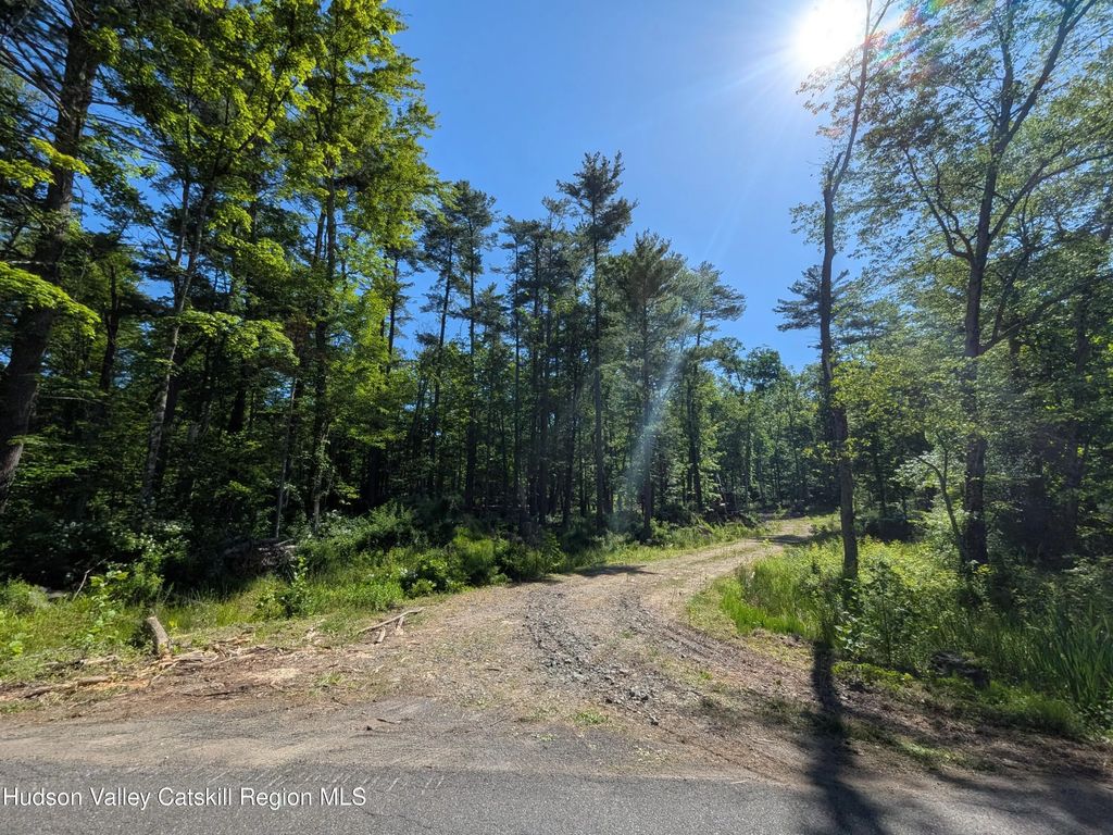 856 Berme Road, High Falls
