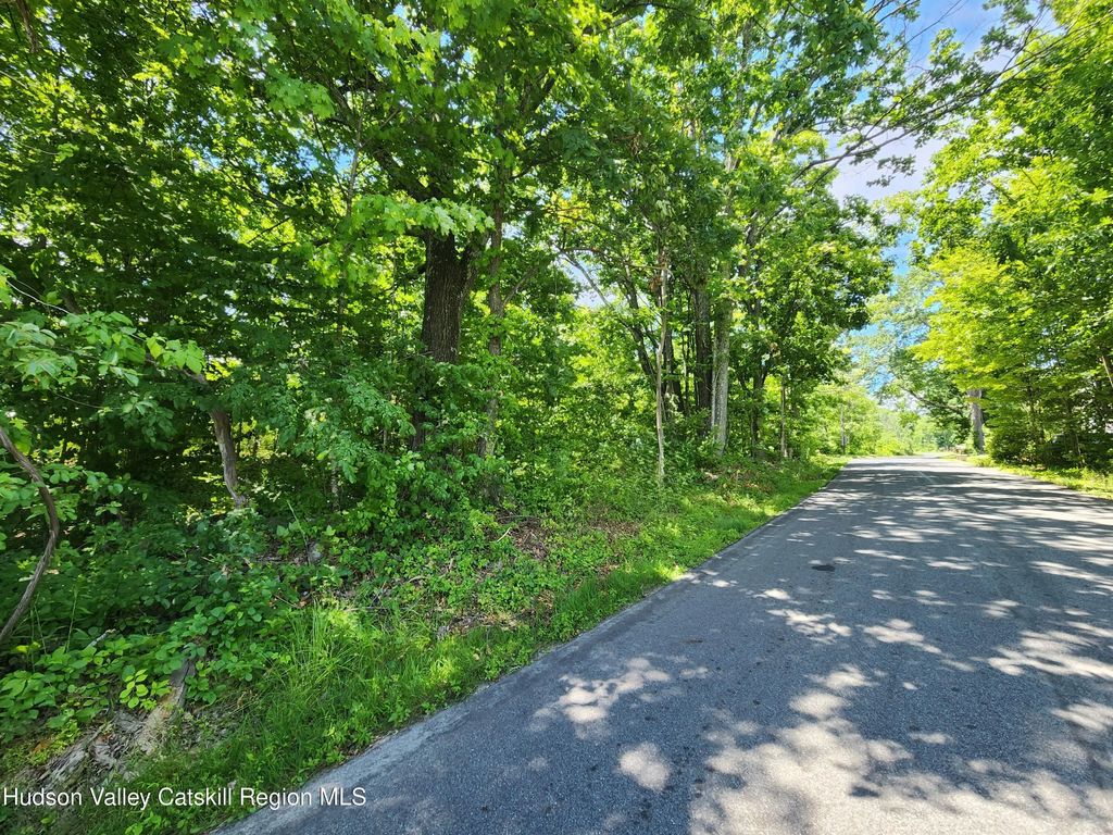 Tbd Irish Cape Road, Ellenville