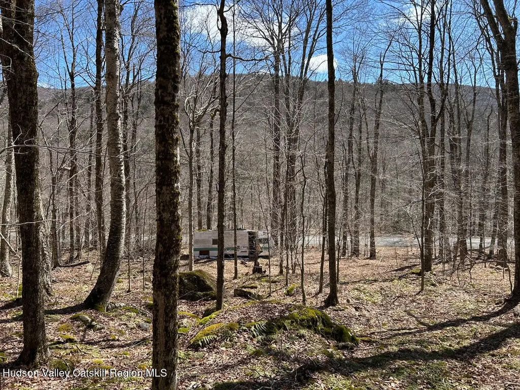 Tbd Frost Valley Road, Claryville
