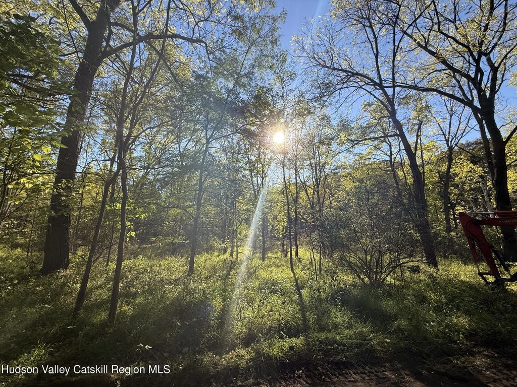Tbd Country Club Road, Ellenville