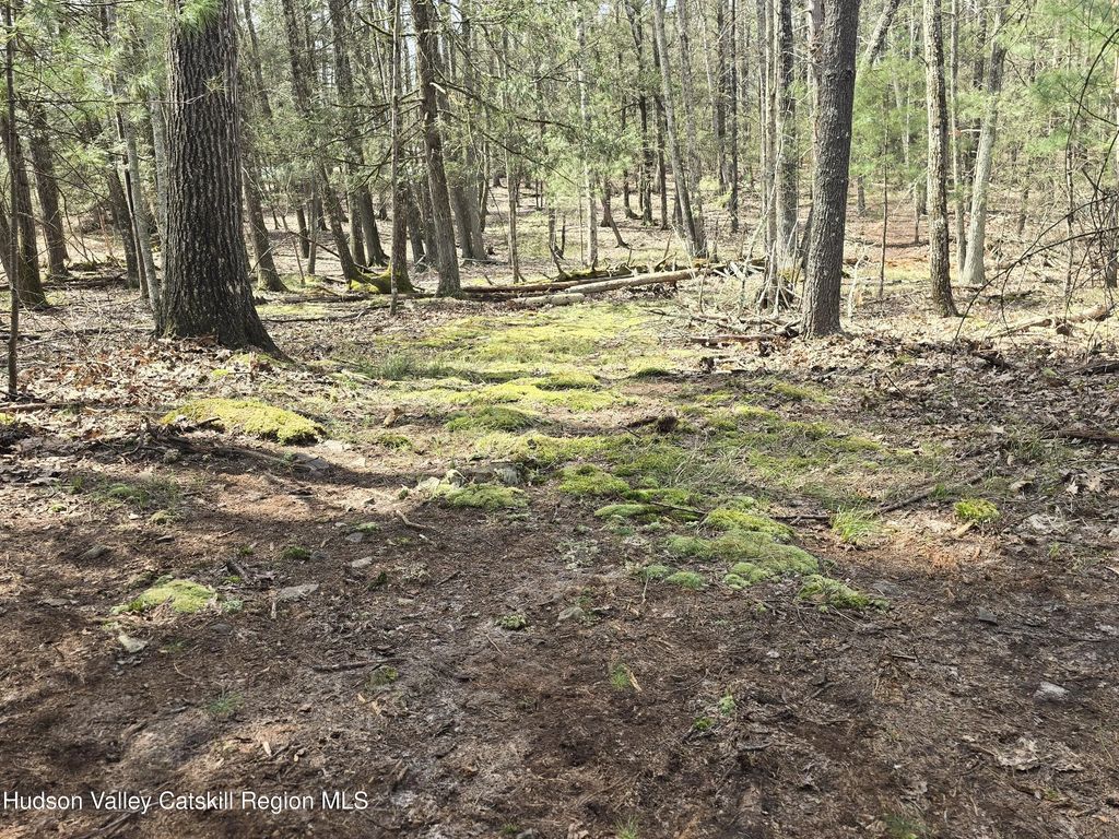 Lot #5 Evergreen Drive, Saugerties