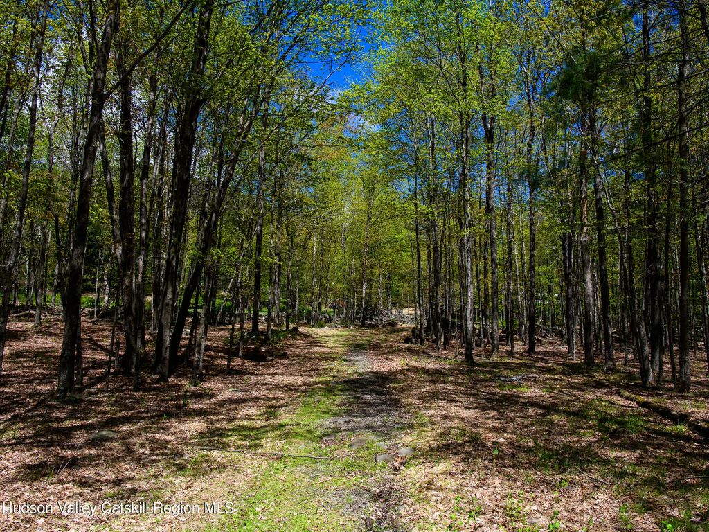 Upper Samsonville Road, Olivebridge