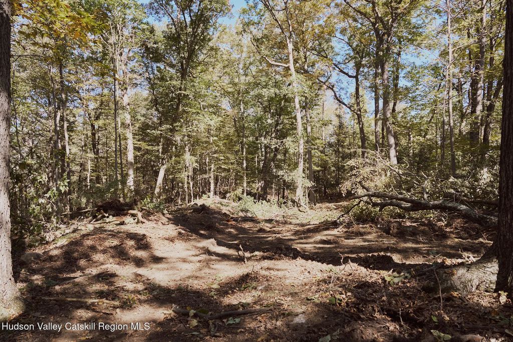 Lot 5 Flatbush Avenue, Kingston