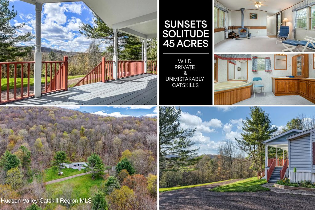 1264 Betty Brook Road, Kortright