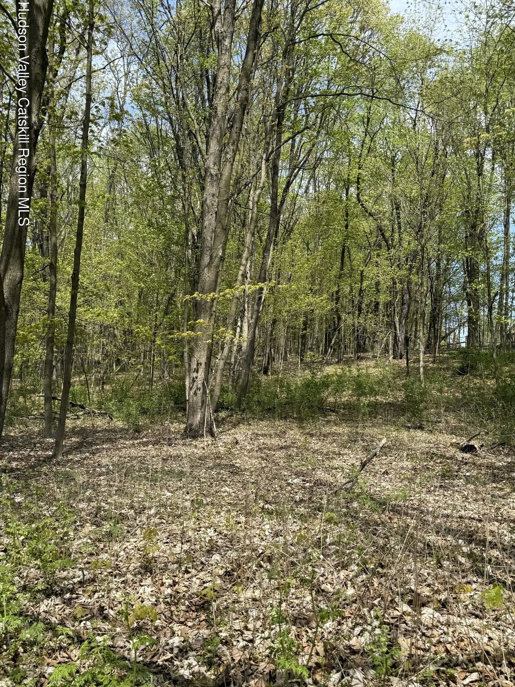 120 Floyd Ackert Road, West Park