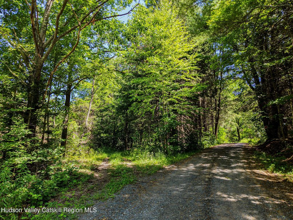 Lot 7.2 Route 23c, Prattsville