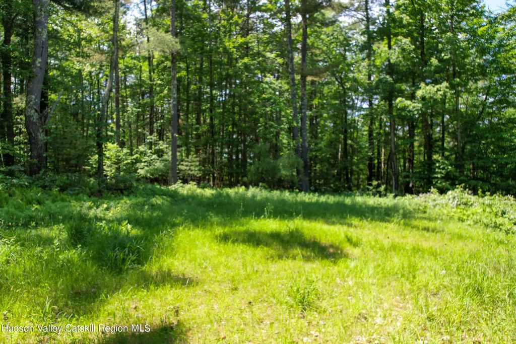 1604 Spruceton Road, West Kill