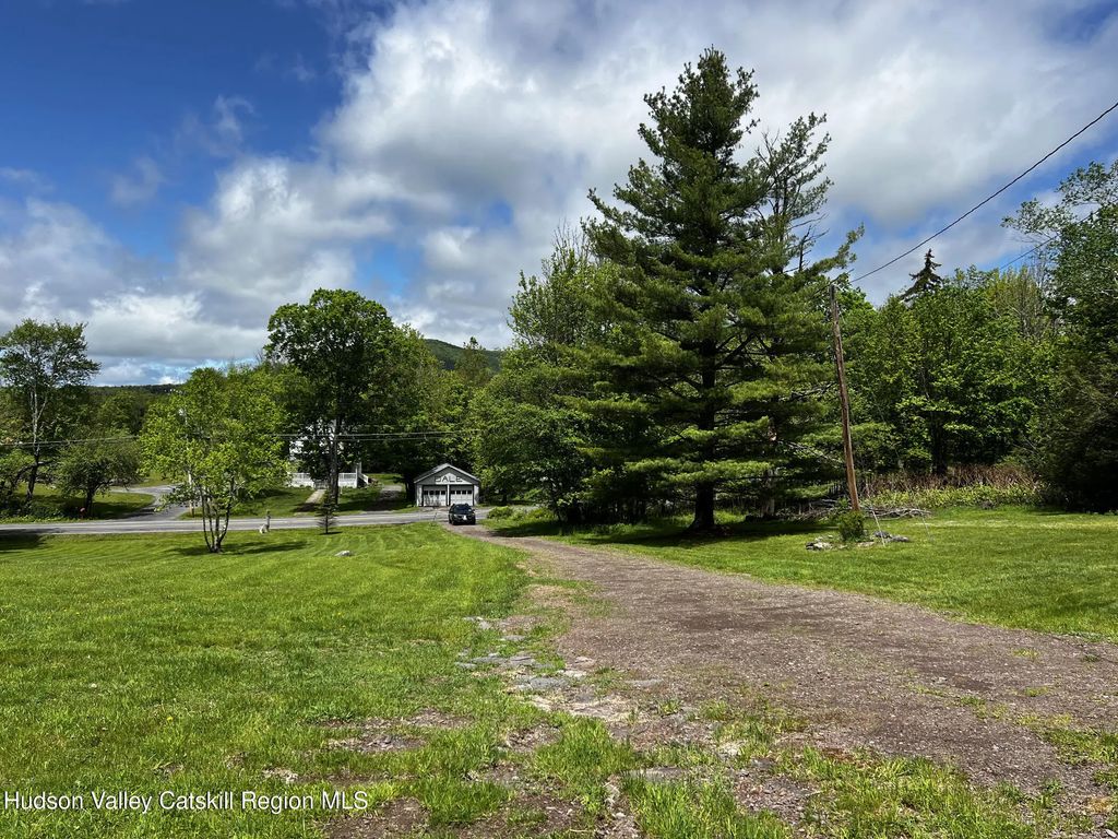 217 Platte Clove Road, Hunter