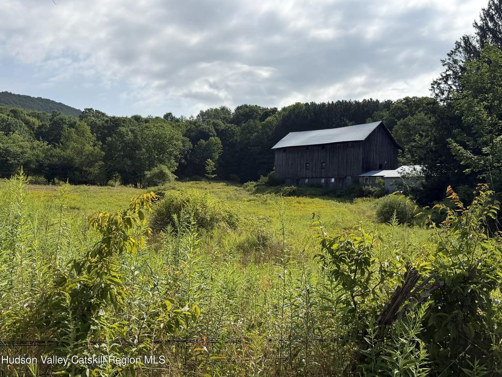 1006 Gladstone Hollow Road, Andes