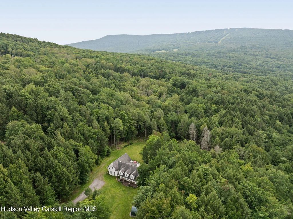 395 Roaring Brook Lane, Pine Hill