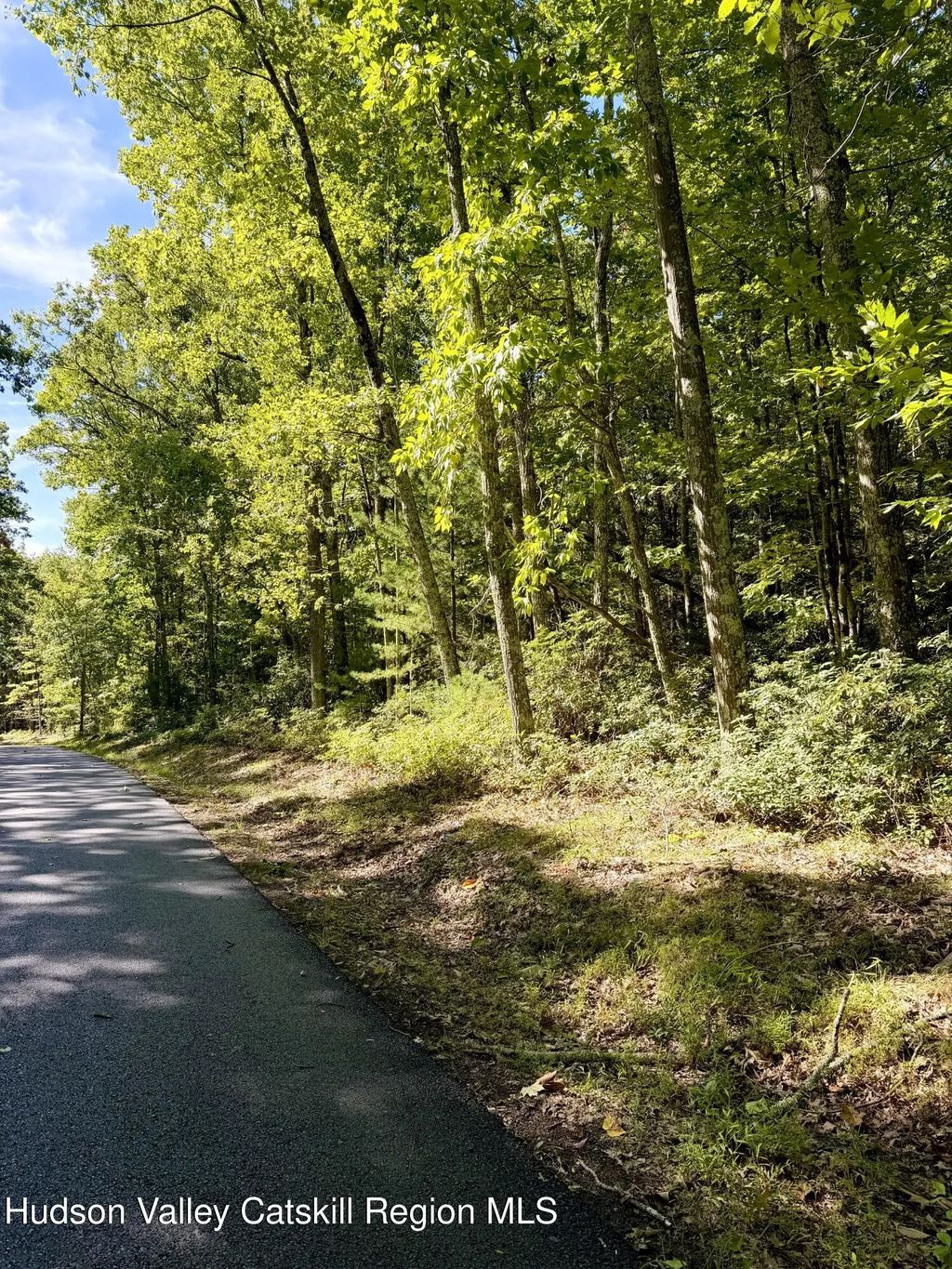 Lot 1 Bennett Road, Napanoch