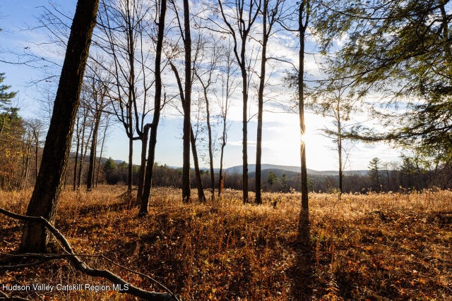 Mitchell Street, Hillsdale