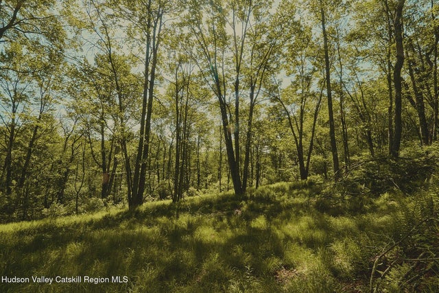 Benton Hollow Road, Liberty