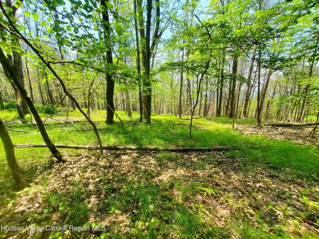 Tbd Piney Lane, Cragsmoor