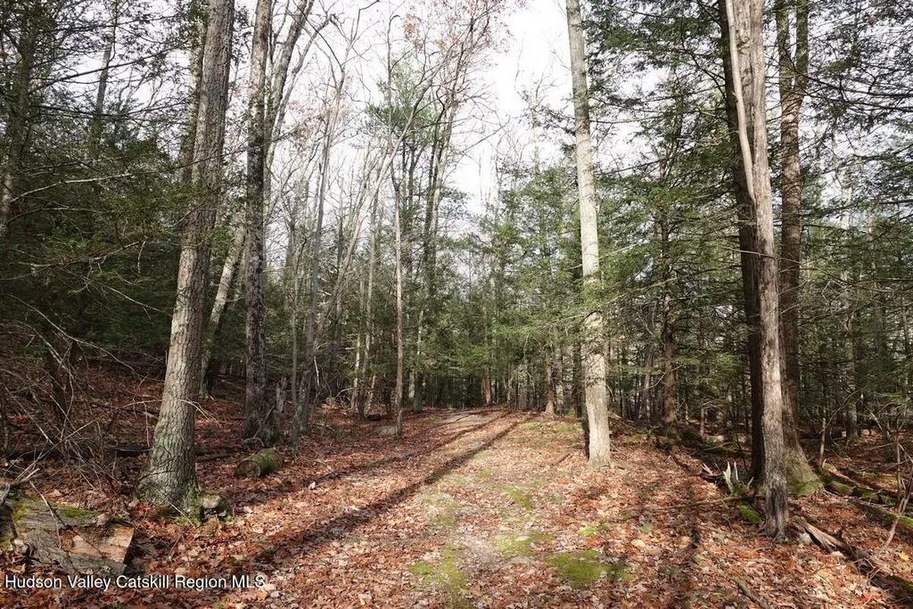 738 Manorville Road, Saugerties
