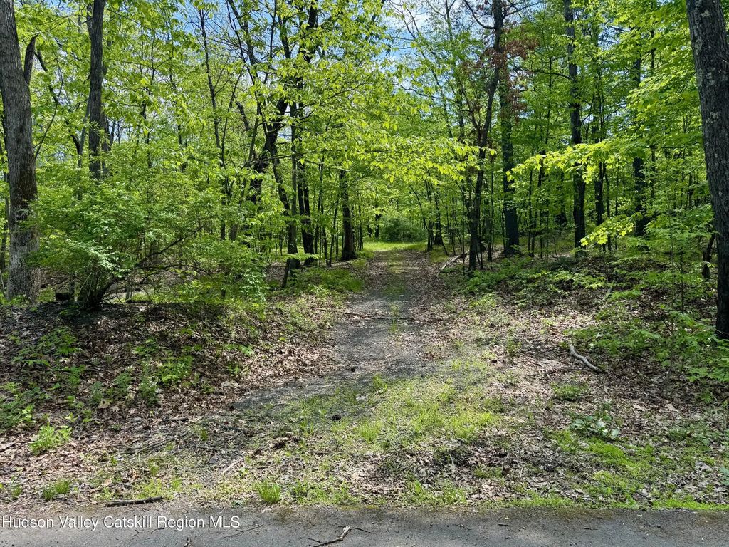 Tbd Bill Matter Road, Coxsackie